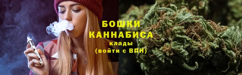 Шишки марихуана OG Kush  MEGA маркетплейс  нарко площадка наркотические препараты  продажа наркотиков  Дубовка 